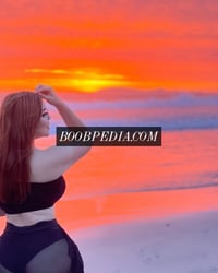 Ale – photo 3
