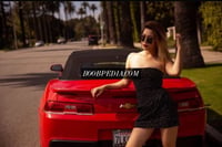 Bella – photo 2