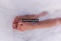 Daisy – photo 2