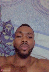 Swt Willy