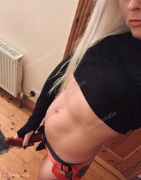 Harley – photo 7