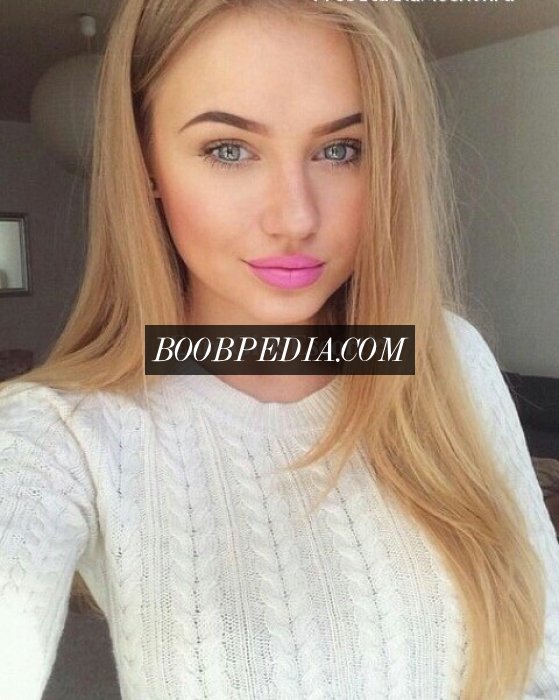 Vlada