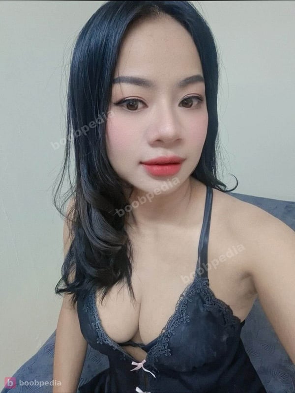 Lily Qatar
