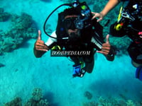 Mostafa – photo 3