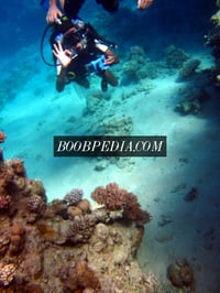 Mostafa – photo 5