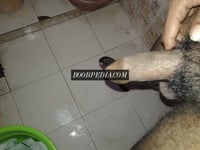 The Bi Guy – photo 5