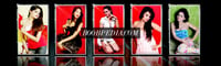 Mr KK – photo 5