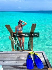 Paloma – photo 10