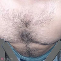 Bull