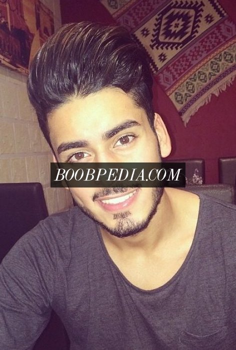 Alameer
