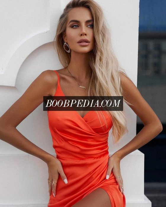 Vlada