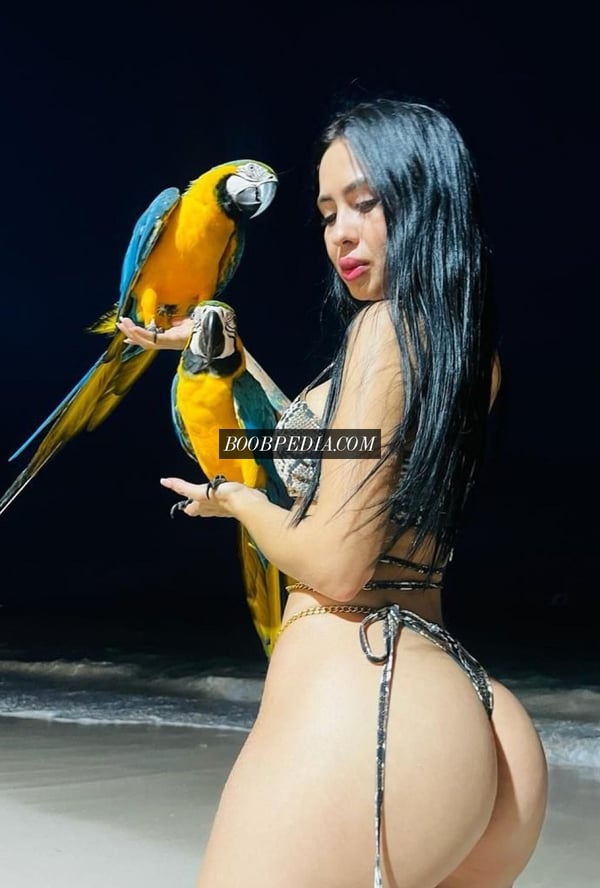 Anais