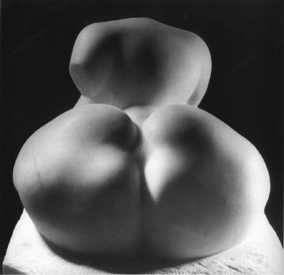 File:Lachaise Torso 1933b.jpg