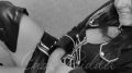 Thumbnail for version as of 18:23, 11 July 2023