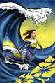 Thumbnail for version as of 23:08, 13 January 2009