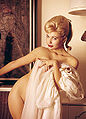 Thumbnail for version as of 17:20, 29 October 2013