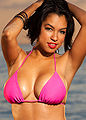 Thumbnail for version as of 16:16, 22 February 2013