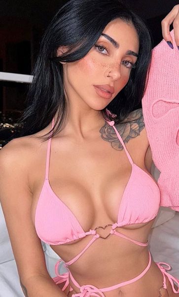 File:Rose Zara 01.jpg