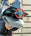 Thumbnail for version as of 04:09, 27 April 2008