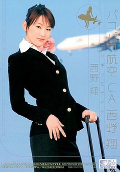 Risky Mosaic: Pakopako Aviation Cabin Attendant: Sho Nishino