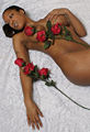 Thumbnail for version as of 16:54, 16 February 2009