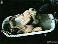Thumbnail for version as of 23:42, 9 November 2007