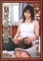 Thumbnail for version as of 01:40, 18 May 2015