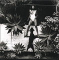 Thumbnail for version as of 17:48, 25 June 2008