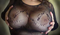 Thumbnail for version as of 10:32, 23 January 2008