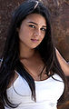 Thumbnail for version as of 11:31, 21 April 2013
