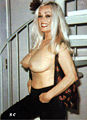 Thumbnail for version as of 23:42, 9 November 2007