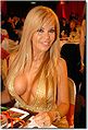 Thumbnail for version as of 13:06, 14 January 2011