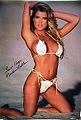 Thumbnail for version as of 21:56, 10 March 2013
