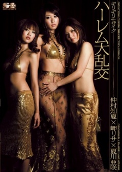 Risky Mosaic: Harem Gangbang