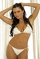 Thumbnail for version as of 06:40, 4 October 2014
