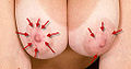 Thumbnail for version as of 04:01, 12 January 2013