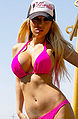 Thumbnail for version as of 13:32, 6 January 2013