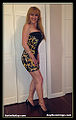 Thumbnail for version as of 13:38, 7 July 2013