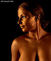 Thumbnail for version as of 22:51, 27 November 2008