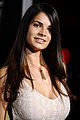 Thumbnail for version as of 19:10, 7 December 2011