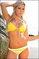 Thumbnail for version as of 08:40, 22 August 2010
