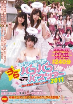 Bakobako Bus Tour 2011 Returns